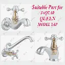 1134-Jaquar Queen Ceramic Model-17.webp