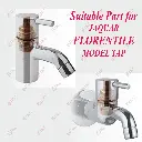1135-Jaquar Florentile model-7.webp